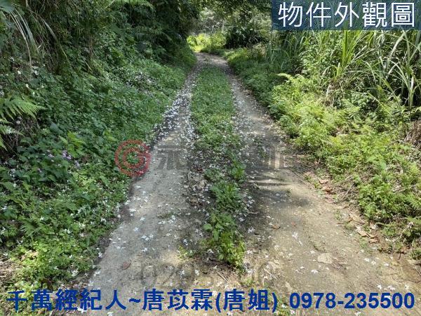 芎林農地-8