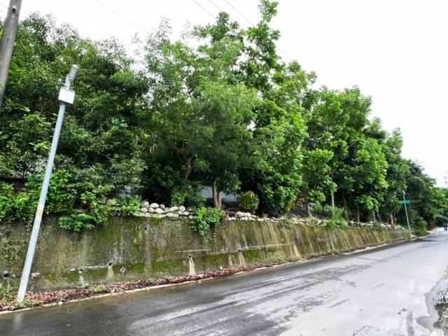 豐原農地_建地-1