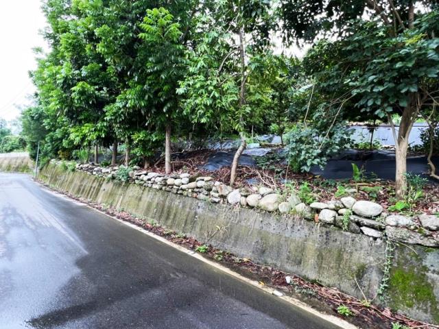 豐原農地_建地-2
