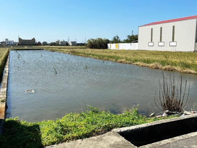 大甲農地-3