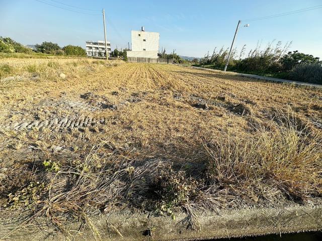 台中農地-2