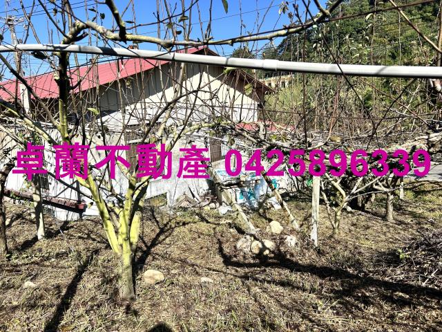 苗栗農地-1