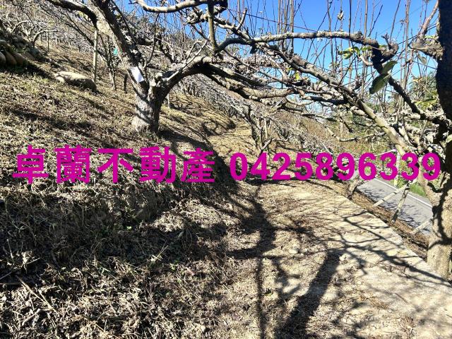 苗栗農地-2