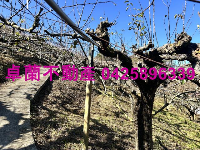 苗栗農地-3