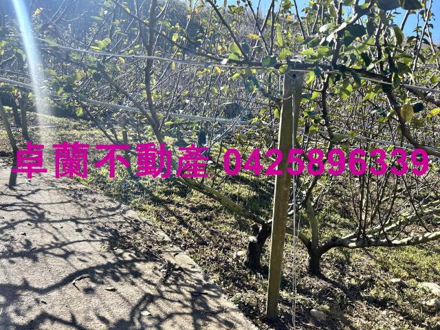 苗栗農地-4