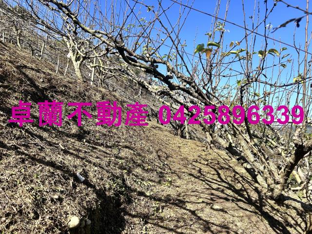 苗栗農地-5