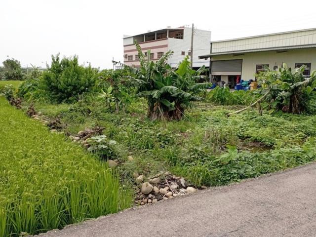 台中農地-4
