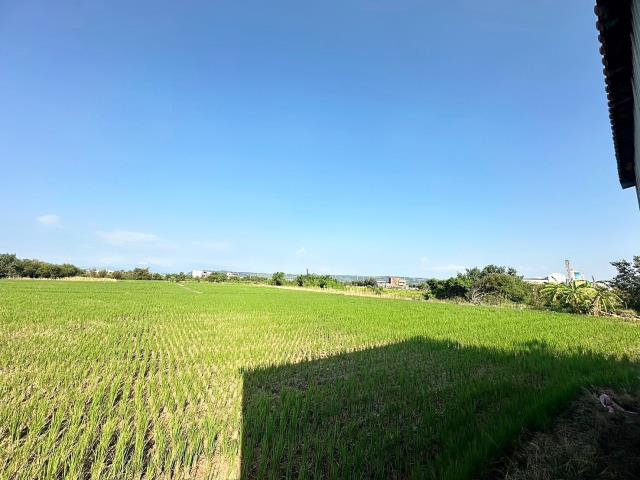 台中農地-3