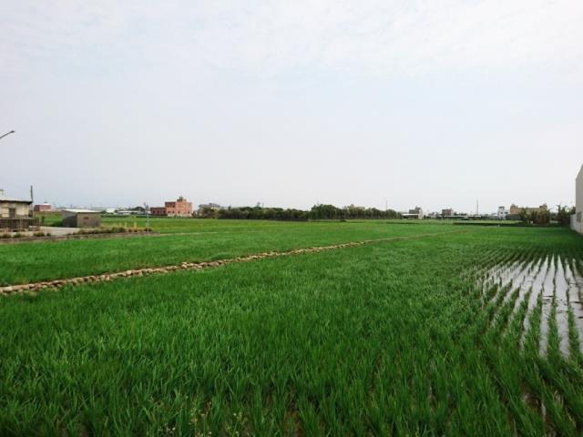 台中大甲農地-3