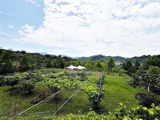 台中東勢農地-2