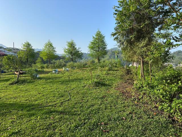 台中東勢農地-2
