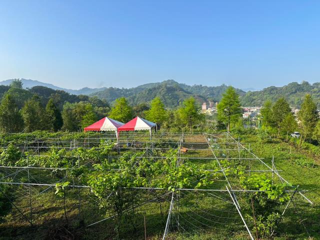 台中東勢農地-4
