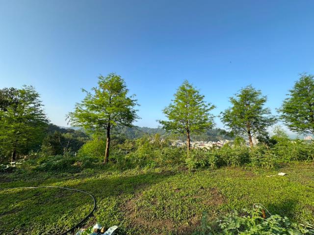 台中東勢農地-7