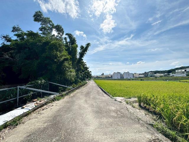 台中大肚農地-1