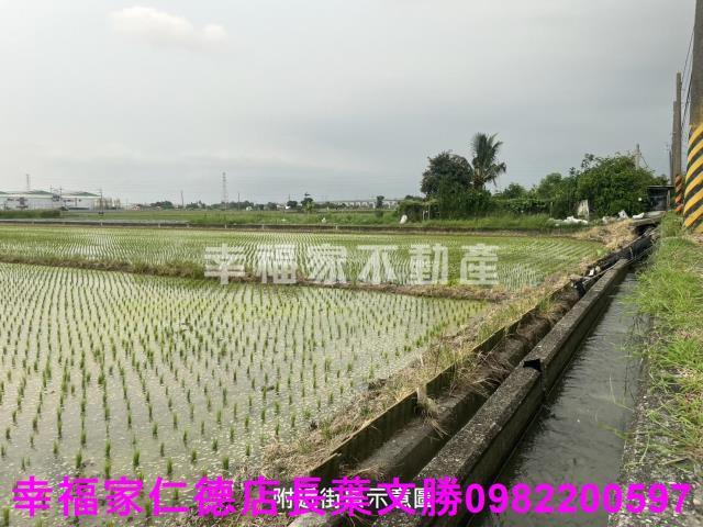 台南官田農地-11