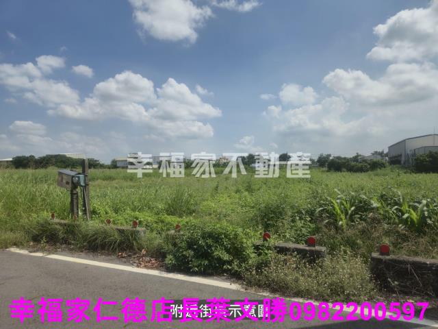 台南善化農地-13