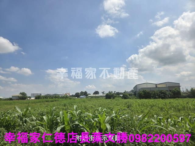 台南善化農地-3