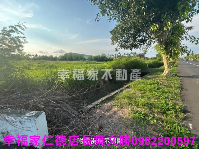 台南七股農地-4
