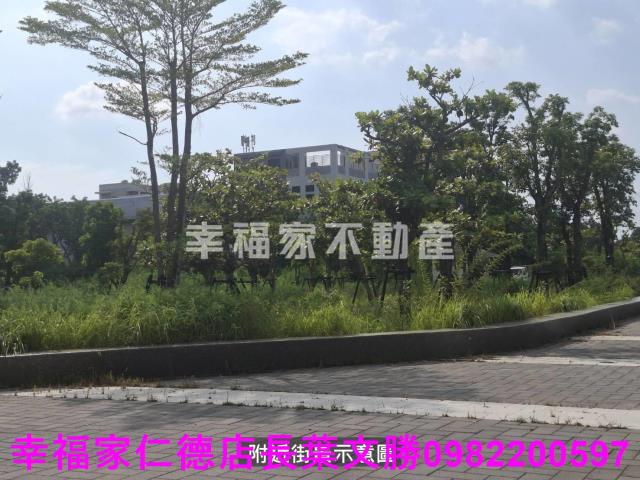 台南善化農地-13