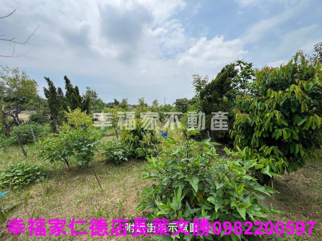 台南新化農地-12