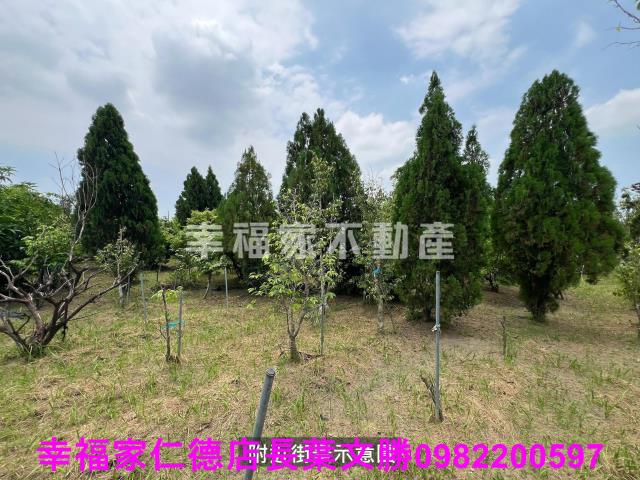 台南新化農地-14