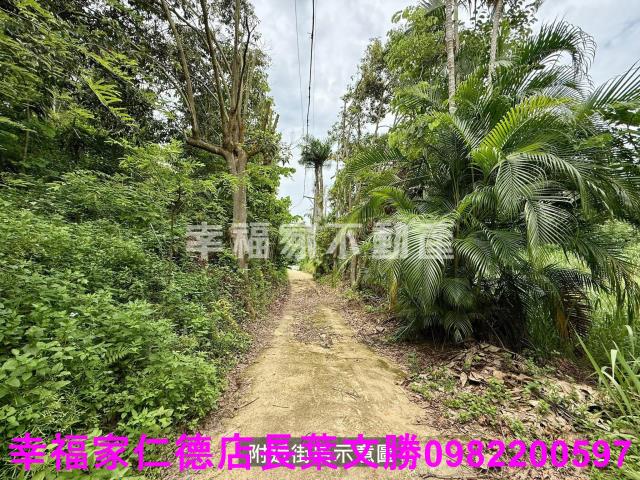 台南新化農地-9