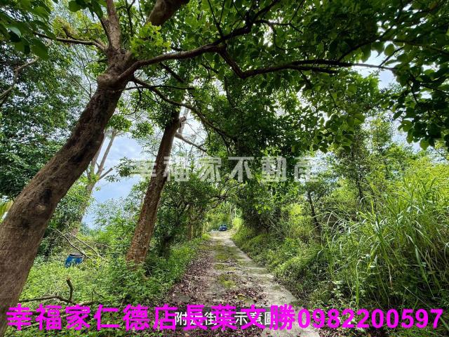 台南新化農地-10