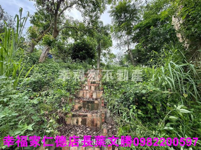 台南新化農地-11