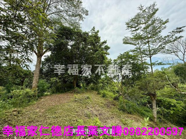 台南新化農地-13