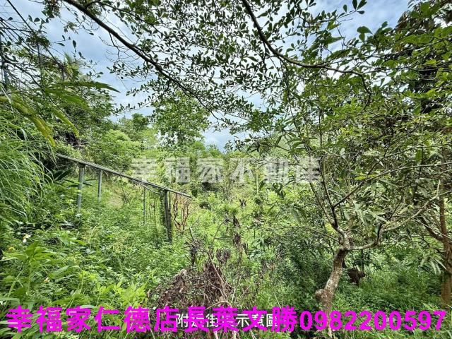 台南新化農地-0