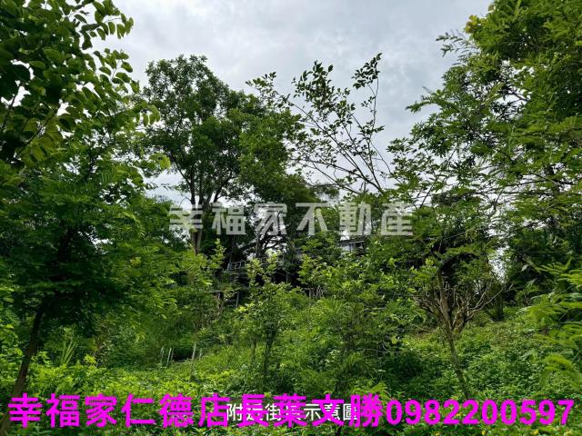 台南新化農地-2