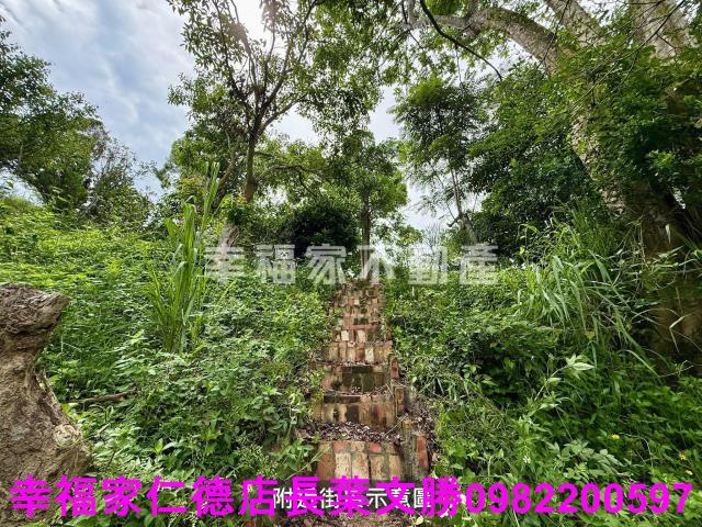 台南新化農地-6