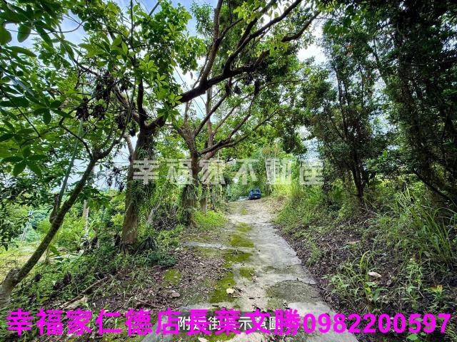 台南新化農地-8