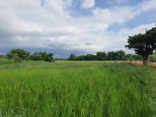 桃園蘆竹農地-2