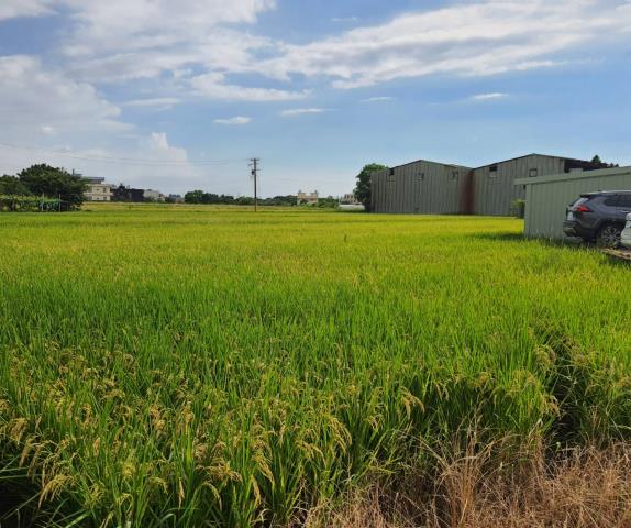 桃園蘆竹農地-4