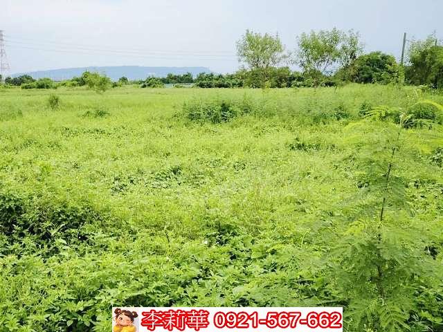 台南歸仁農地-8