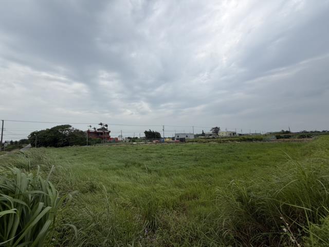 桃園觀音農地-6