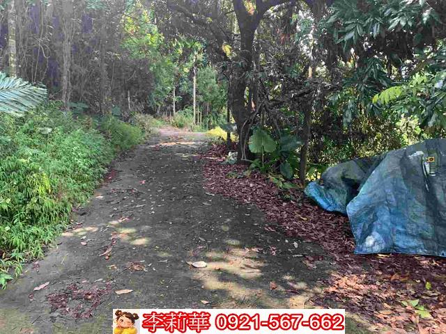 台南白河農地-5