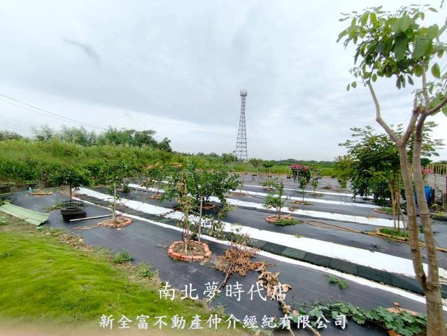 台南七股農地-15