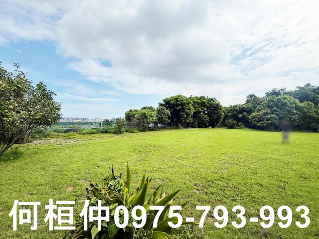 頭份農地_休閒地-2