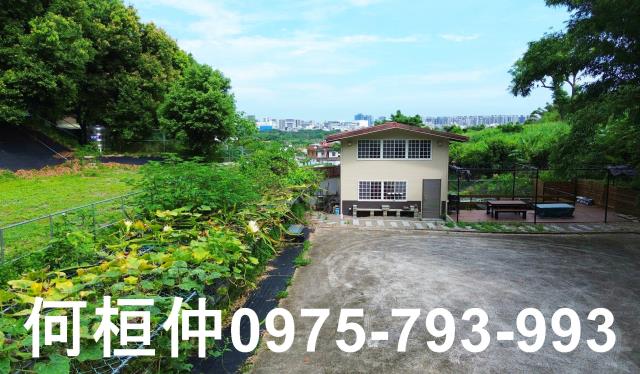 頭份農地_休閒地-6