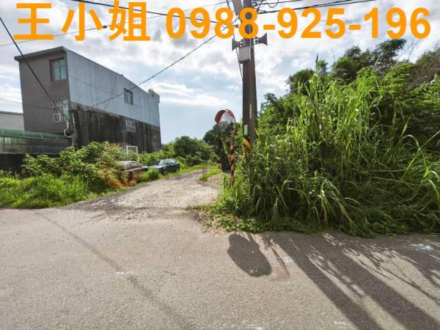 桃園區農地-3