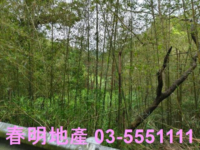 新竹農地-10