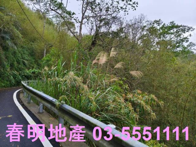 新竹農地-8