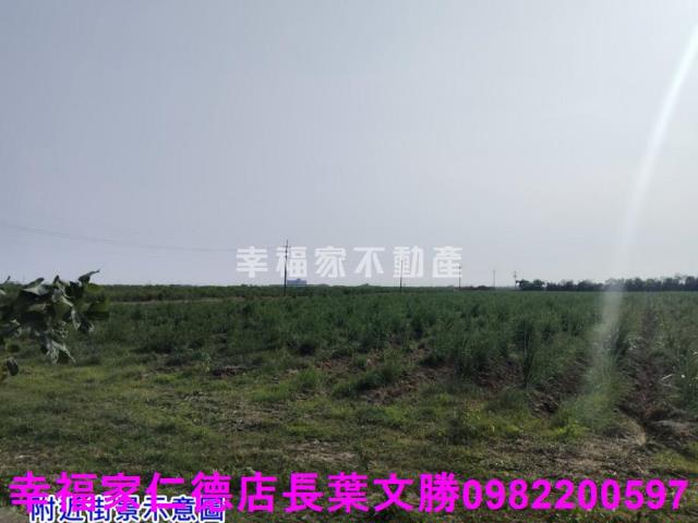 台南農地-3