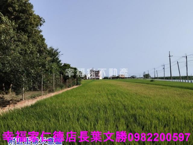 台南農地-8