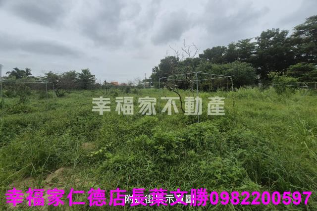 台南農地-6