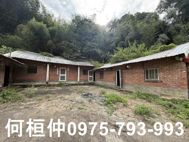 苗栗三灣建地_林地-1
