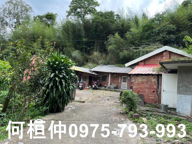 苗栗三灣建地_林地-2