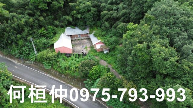 苗栗三灣建地_林地-4